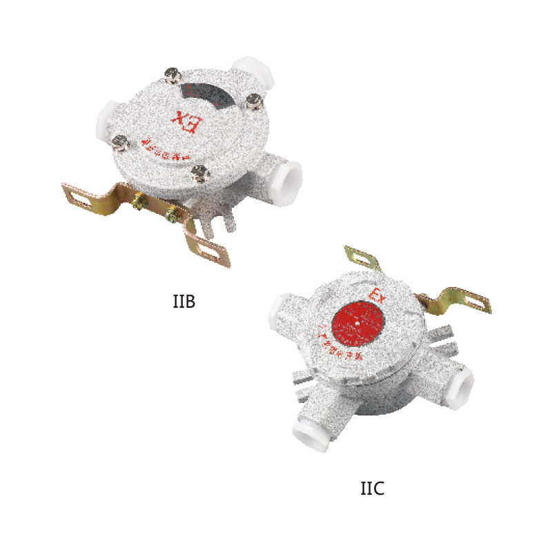 AH防爆接線盒（吊燈盒）（IIB、IIC）